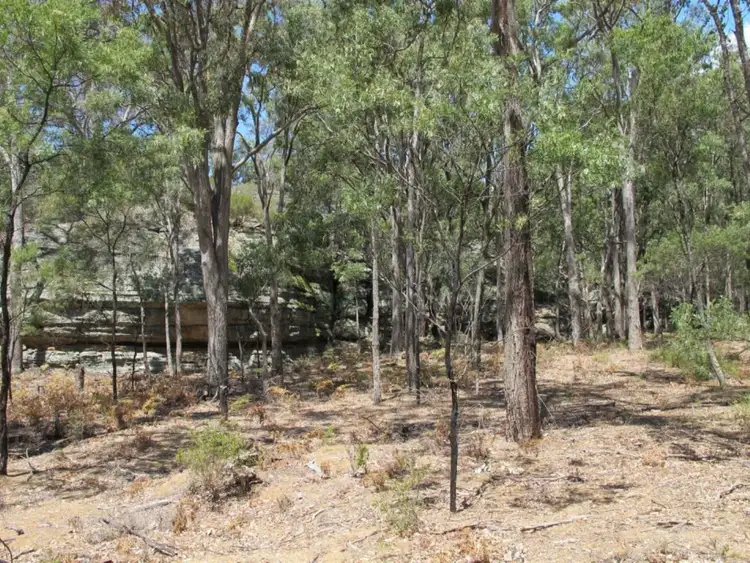 Sixth view of Homely rural property listing, 255 MacArthur Park Road, Mudgee NSW 2850