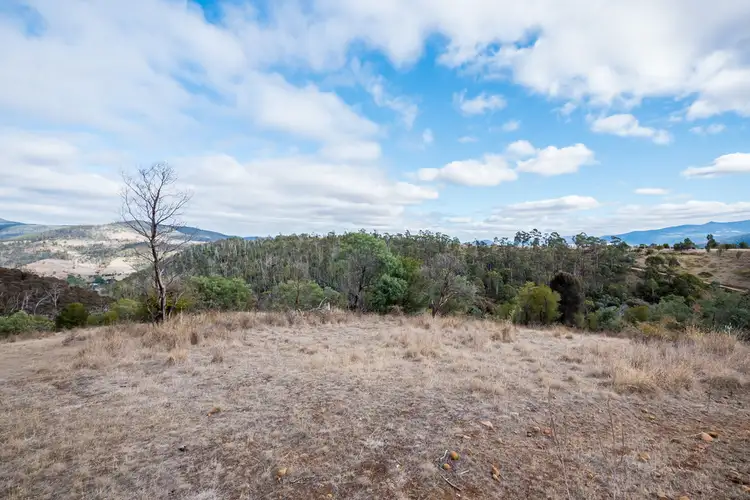 Sixth view of Homely land listing, 0 Ironstone Gully Road, Lachlan TAS 7140