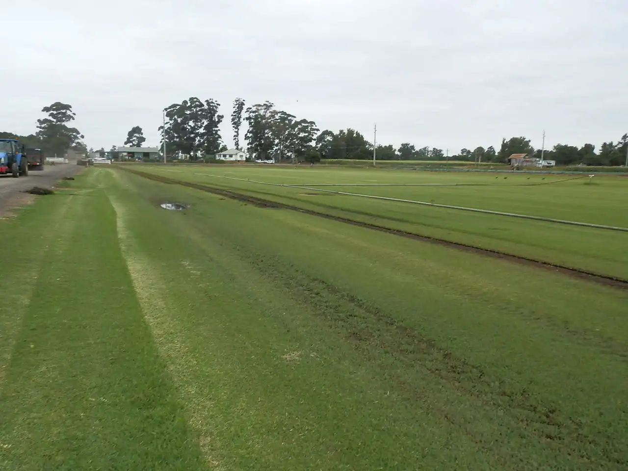 Main view of Homely house listing, 107 Wilberforce Road, Wilberforce NSW 2756