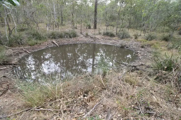 Fifth view of Homely rural property listing, 400 Reads Rd, Avondale QLD 4670