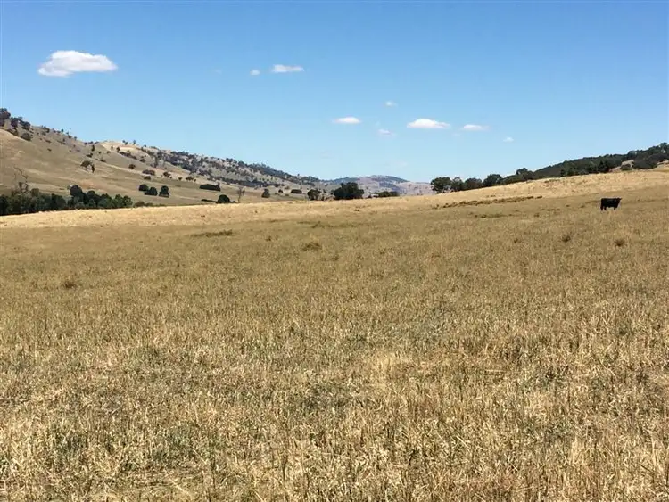 Fourth view of Homely rural property listing, lot 8222 Yaven Creek Road, Adelong NSW 2729