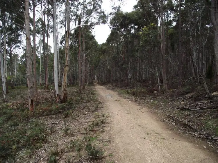 Fourth view of Homely rural property listing, . Henry Street, Mangana TAS 7214