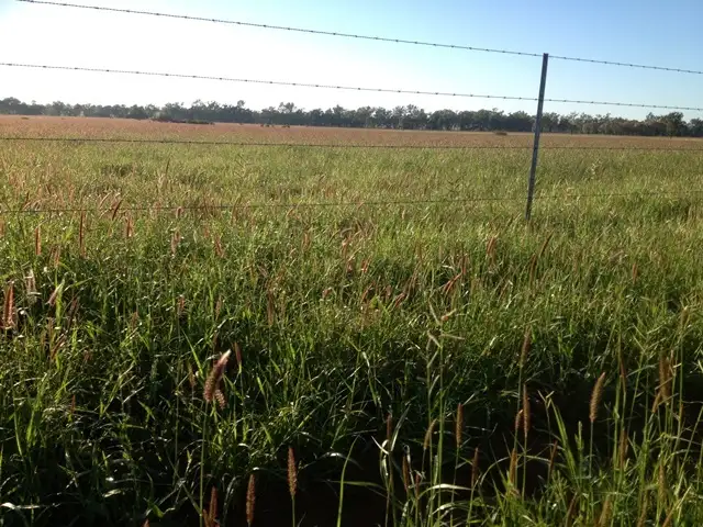 Fifth view of Homely land listing, 1000 CARNARVON HIGHWAY, Roma QLD 4455
