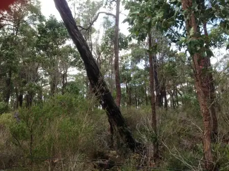 Sixth view of Homely land listing, 14 (Lot 59) Timber Court, Cowaramup WA 6284