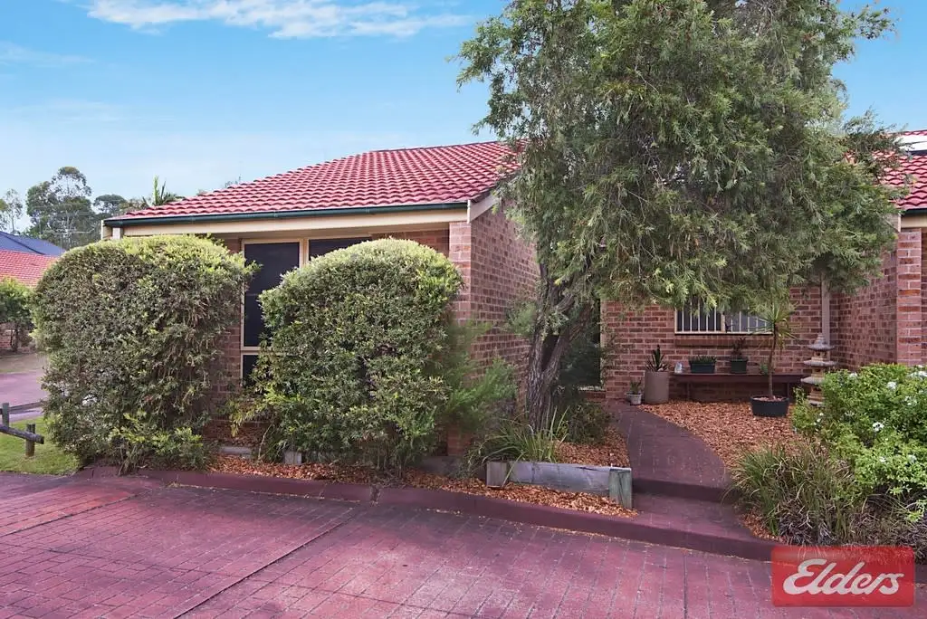 Main view of Homely villa listing, 6/387 Wentworth Avenue, Toongabbie NSW 2146