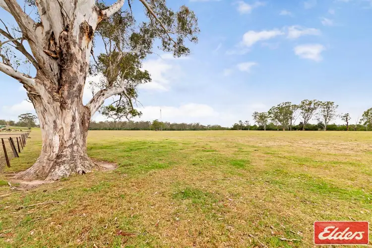 Seventh view of Homely house listing, 705 Cut Hill Road, Cobbitty NSW 2570