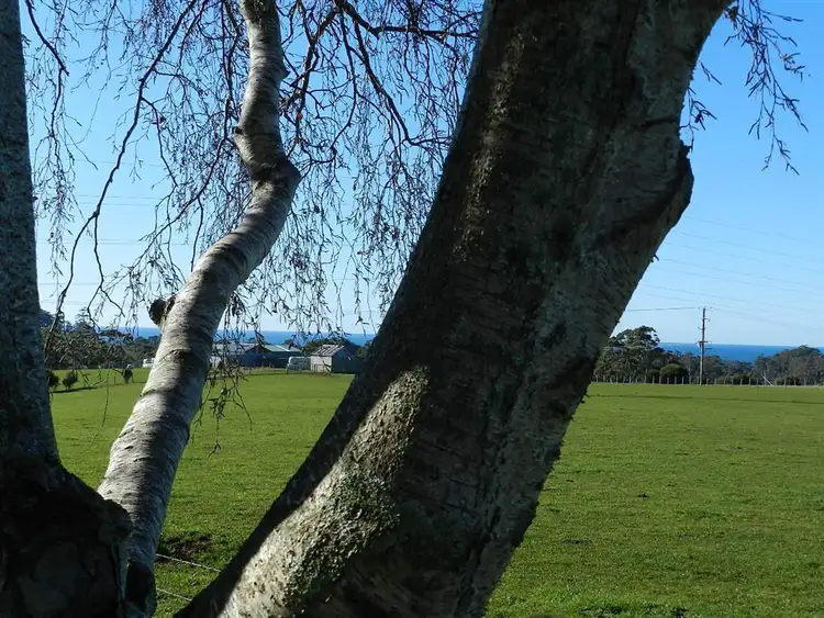 Seventh view of Homely house listing, 238 Seabrook Road, Somerset TAS 7322