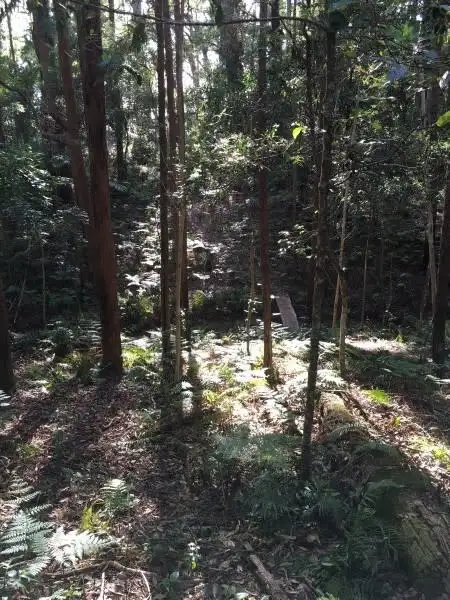 Seventh view of Homely land listing, 1943 Springbrook Road, Springbrook QLD 4213