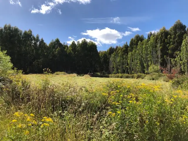 Main view of Homely land listing, 2022 Nugent Road, Nugent TAS 7172