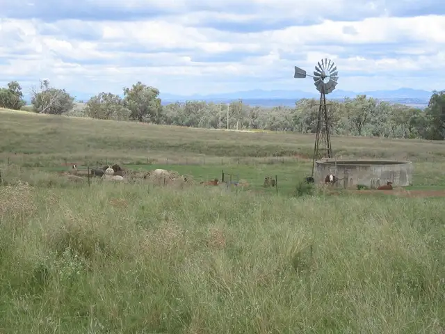 Third view of Homely rural property listing, "Longview" Attunga, Attunga NSW 2345