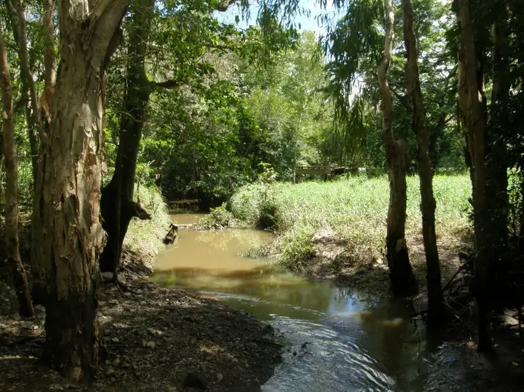 Main view of Homely rural property listing, Lot 6 Tailing Gully Road, Proserpine QLD 4800
