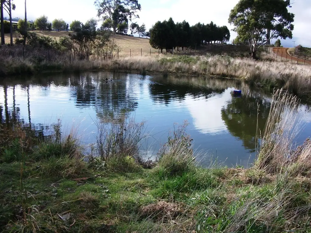 Main view of Homely house listing, 1416 Woodsdale Road, Levendale TAS 7120