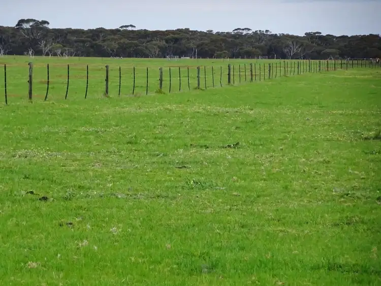 Seventh view of Homely rural property listing, "Paringa" 88 Murray Road, Bremer Bay WA 6338