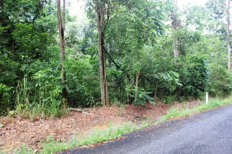 75 Forest Creek Road FOREST CREEK, Daintree QLD 4873