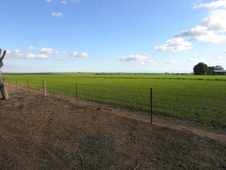 Fifth view of Homely land listing, Lot 12 Warnest Street, Freeling SA 5372