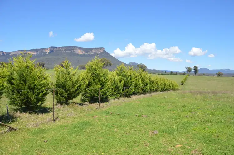 Seventh view of Homely rural property listing, Lot 13 Genowlan Road, Glen Alice NSW 2849