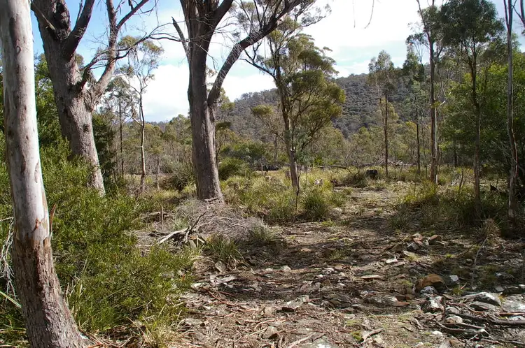 Seventh view of Homely rural property listing, Lot 3 Distillery Track, Nunamara TAS 7259