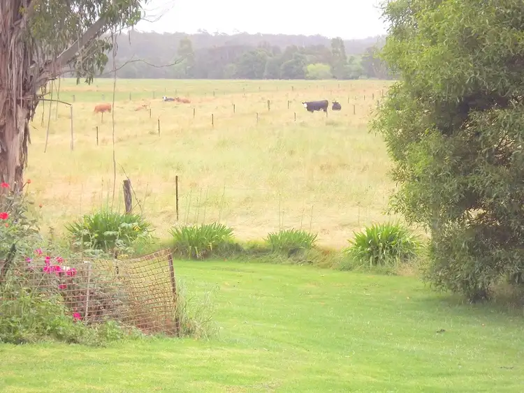 Seventh view of Homely rural property listing, 181 Monaro Hwy, Cann River VIC 3890