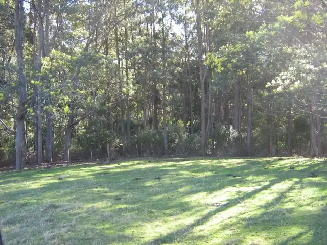 Fifth view of Homely land listing, 338 Stubbs Road, Forth TAS 7310