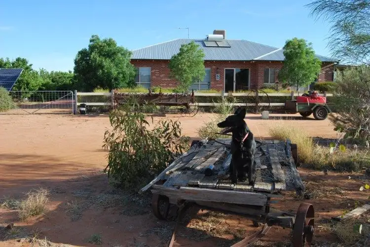 Main view of Homely house listing, Lot 8977 Rutter Road, Merredin WA 6415