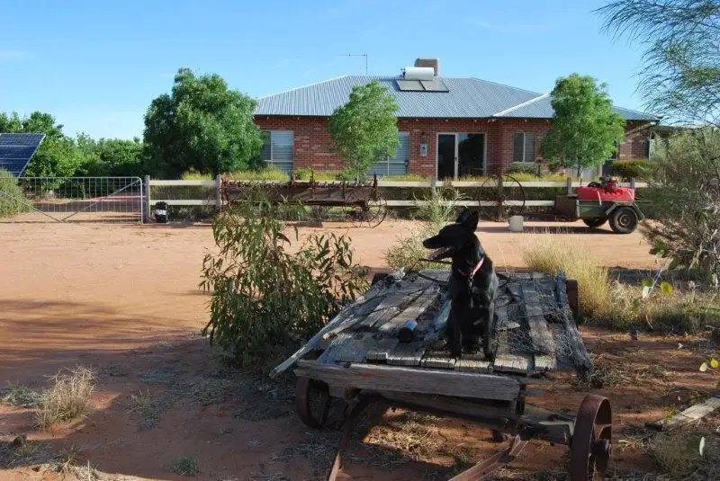 Main view of Homely house listing, Lot 8977 Rutter Road, Merredin WA 6415