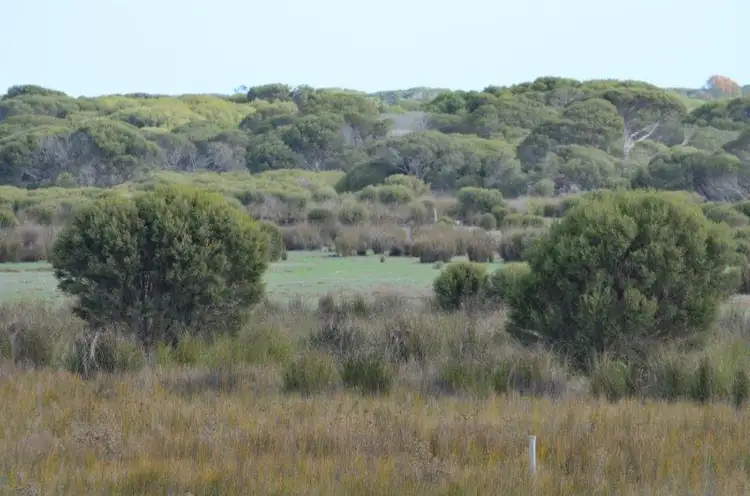 Second view of Homely rural property listing, Section 17 Wrights Road, Kingston Se SA 5275