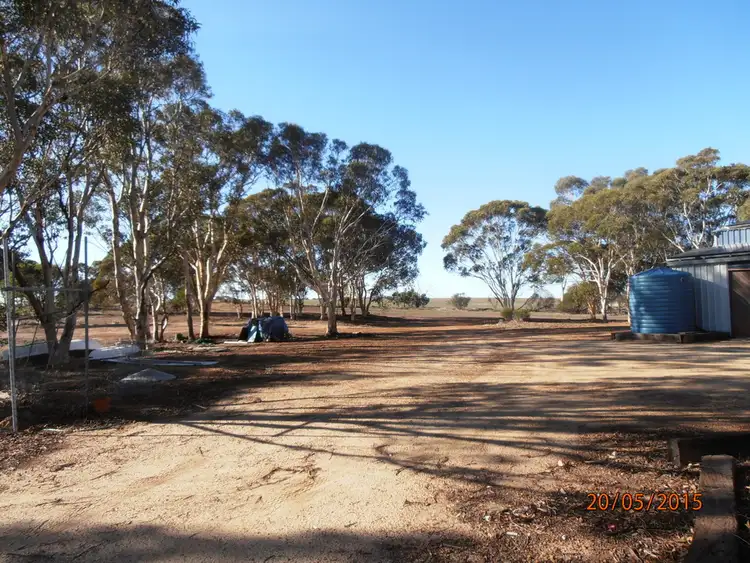 Fifth view of Homely rural property listing, 1107 Behanging North Rd, Calingiri WA 6569