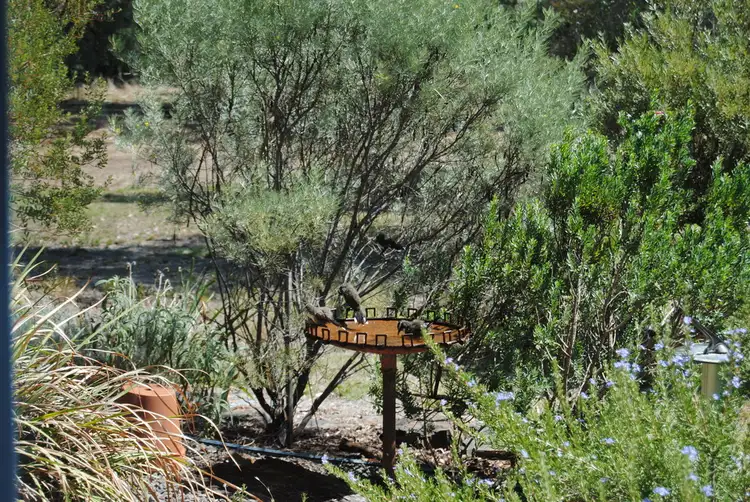 Seventh view of Homely rural property listing, 59 Franks Road, Chiltern Valley VIC 3683