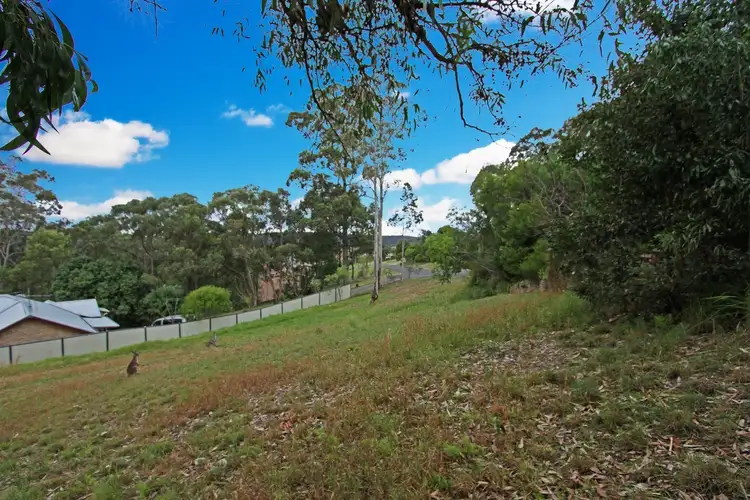 Sixth view of Homely land listing, 14 Bellbird Close, Surfside NSW 2536