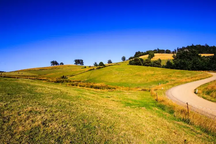 Second view of Homely house listing, 191 Lottah Road, Goulds Country TAS 7216