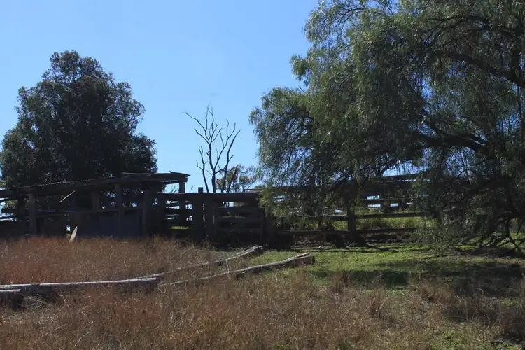 Third view of Homely rural property listing, 2592 Gin Gin Mt Perry rd, New Moonta QLD 4671