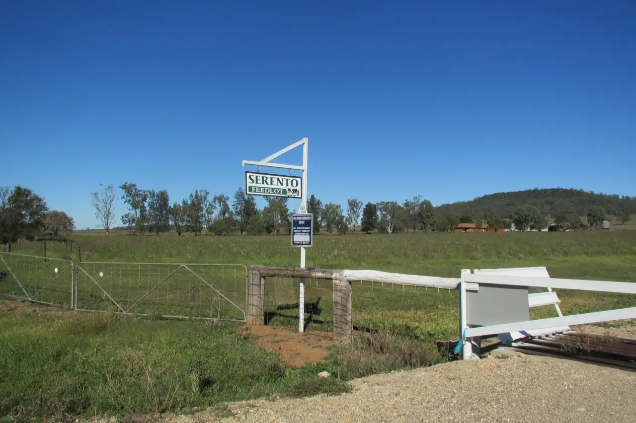 Main view of Homely rural property listing, 1200 Binnalong Rd, Boggabri NSW 2382