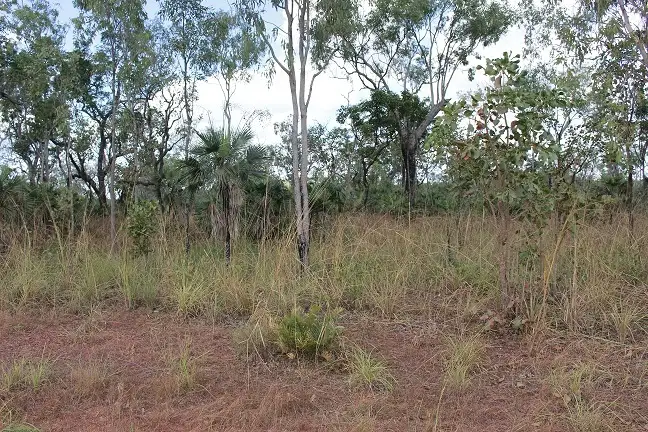 Second view of Homely rural property listing, 420 Heathers Lagoon Road, Lake Bennett NT 822