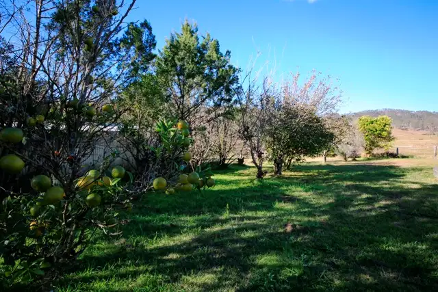 Third view of Homely house listing, 3962 Armidale Road, Nymboida NSW 2460