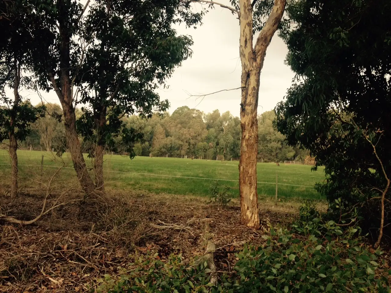Main view of Homely land listing, Lot 56 Biddle Road, Yallingup WA 6282