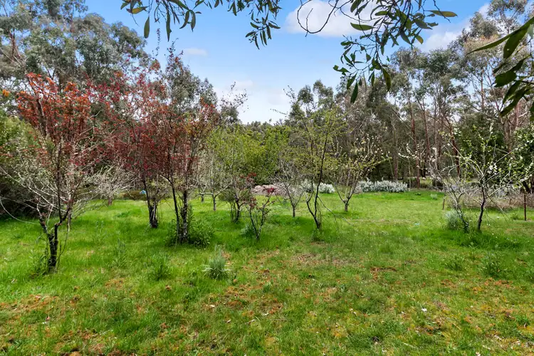 Sixth view of Homely house listing, 19 Rosella Road, Lal Lal VIC 3352