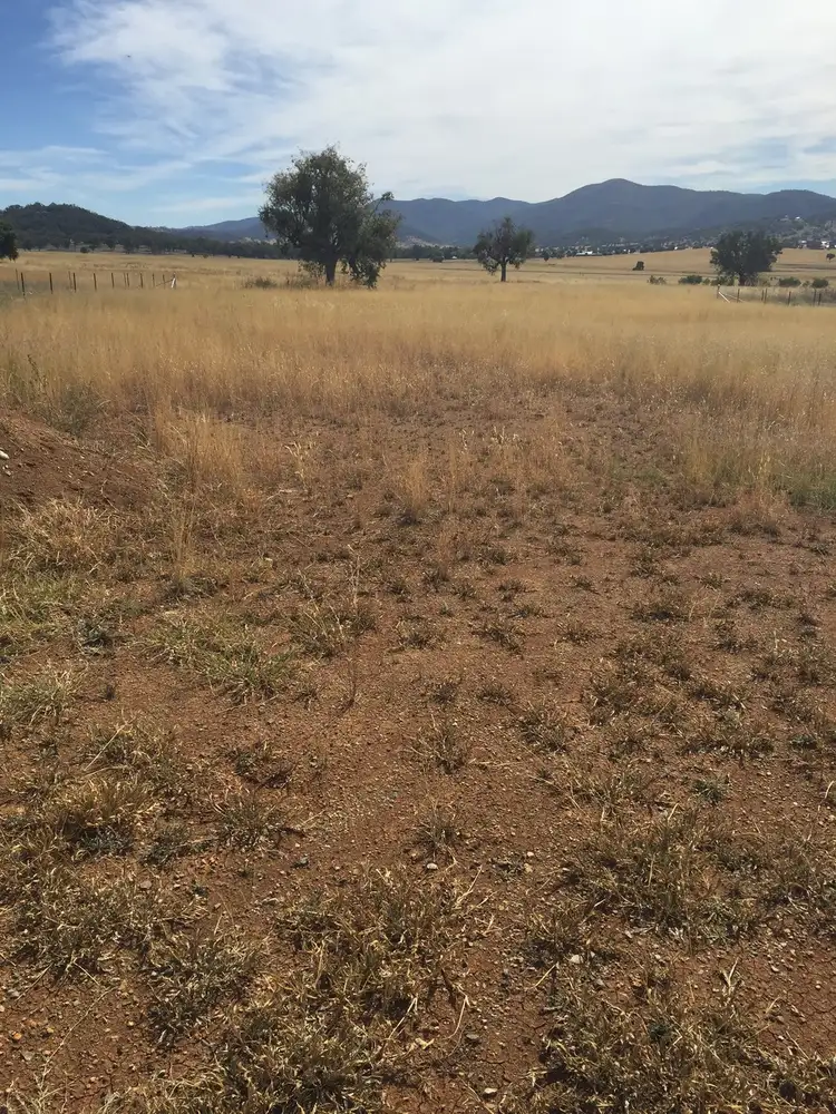 Lot 505 Browns Lane, Moore Creek, Tamworth NSW 2340