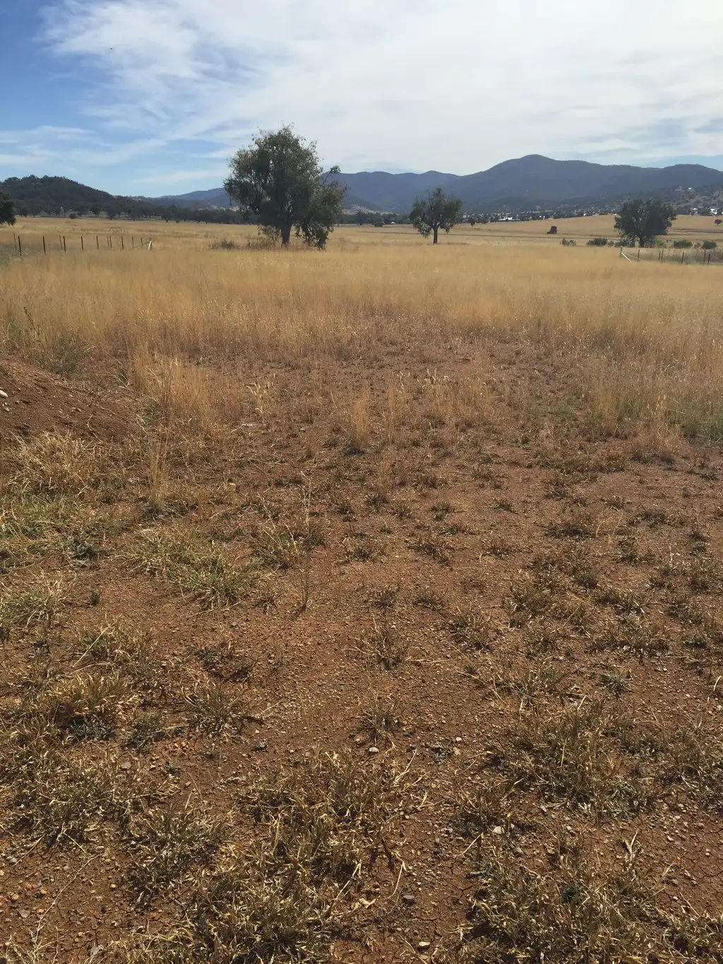 Main view of Homely land listing, Lot 505 Browns Lane, Moore Creek, Tamworth NSW 2340