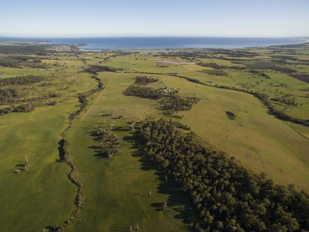 Main view of Homely rural property listing, 1791 Bridport Road, Bridport TAS 7262