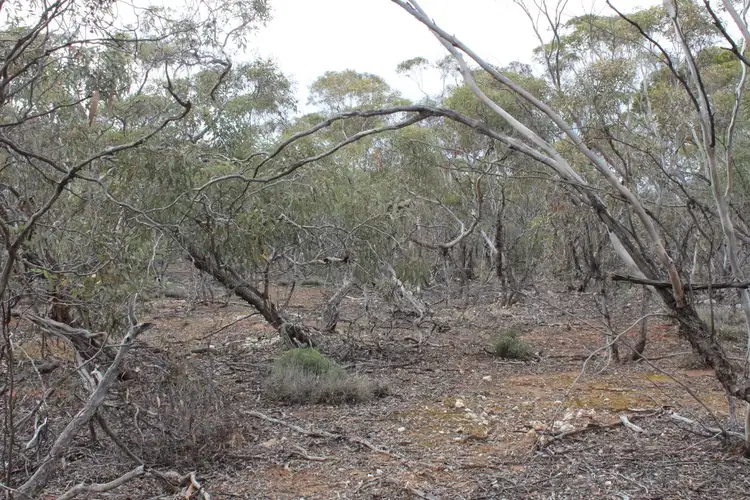 Seventh view of Homely rural property listing, Section 457 Murraylands Road, Walker Flat SA 5238