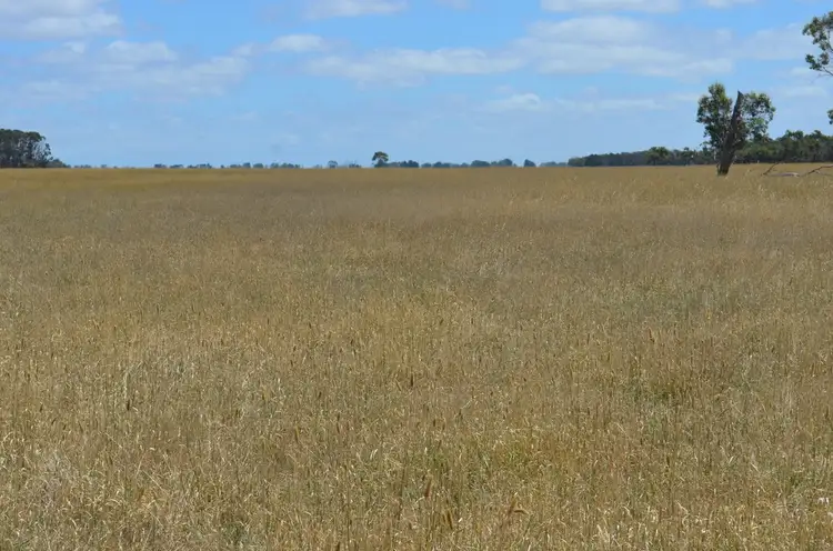 Fifth view of Homely rural property listing, 673 McKinnons Lane, Millicent SA 5280