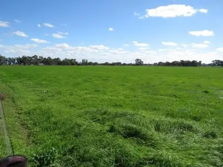 Fourth view of Homely rural property listing, "Wongalea" Moonee Swamp Road, Deniliquin NSW 2710