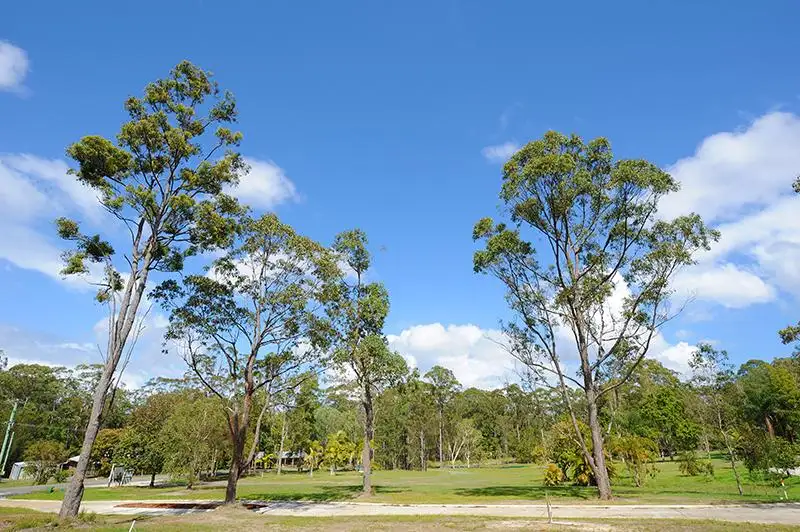 Main view of Homely land listing, Lot 2 Lindeman Road, Beerwah QLD 4519