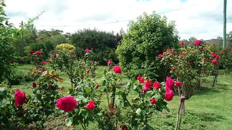 Sixth view of Homely rural property listing, Address available on request