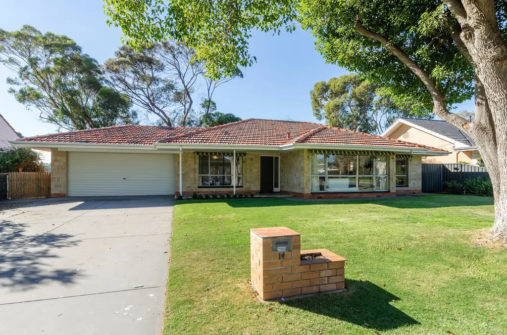 Main view of Homely house listing, 14 Old Drive, Novar Gardens SA 5040