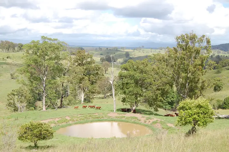Fifth view of Homely rural property listing, Yates Road, Mallanganee NSW 2469