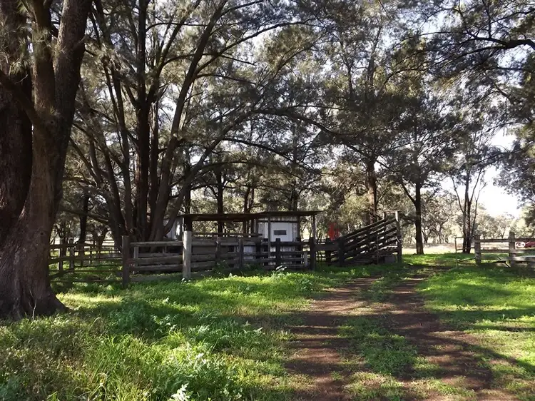 Fifth view of Homely rural property listing, Billabong Binnaway Road, Coonabarabran NSW 2357