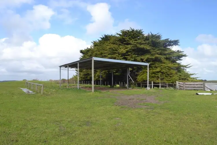 Third view of Homely rural property listing, 223 Burkhills Lane, Millicent SA 5280