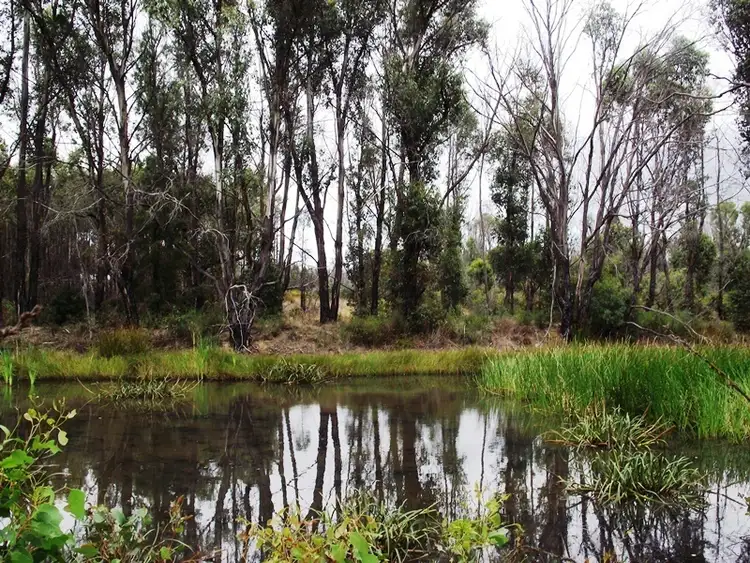 Third view of Homely rural property listing, 70 Blue Hills Road, Copping TAS 7174