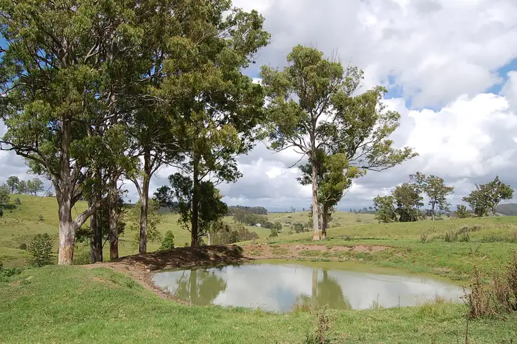 Seventh view of Homely rural property listing, Yates Road, Mallanganee NSW 2469